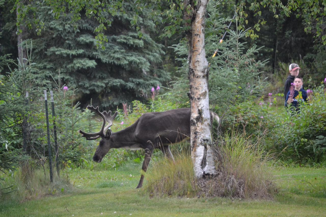 All Seasons B&B Kenai Exteriér fotografie