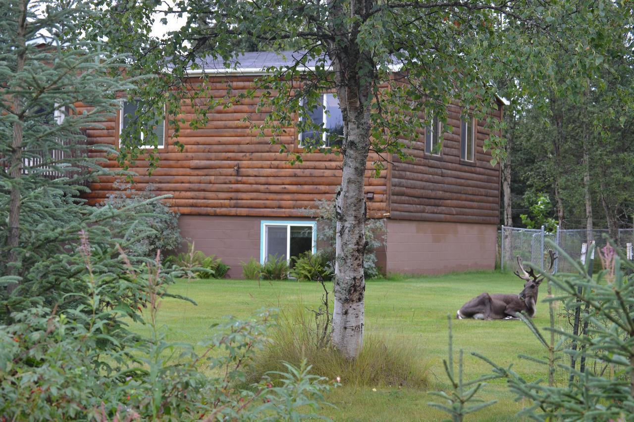 All Seasons B&B Kenai Exteriér fotografie